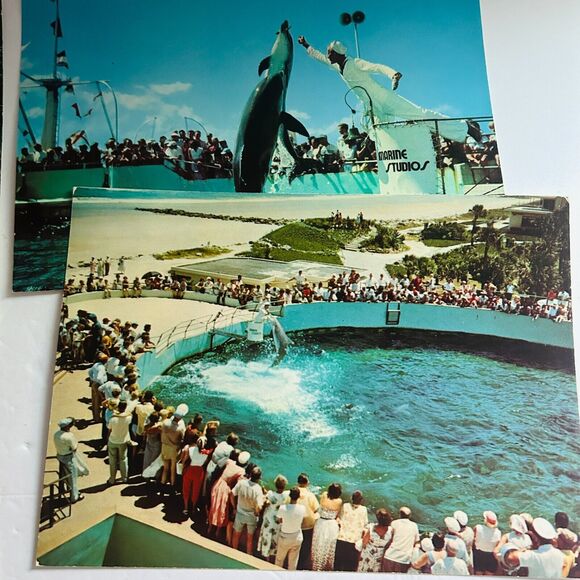 Vintage Marine Studios Marineland Florida Jumbo Postcard Lot 4 Flippy Porpoise - Picture 3 of 4